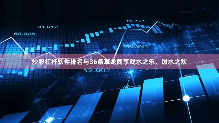 炒股杠杆软件排名与36条草龙同享戏水之乐、泼水之欢
