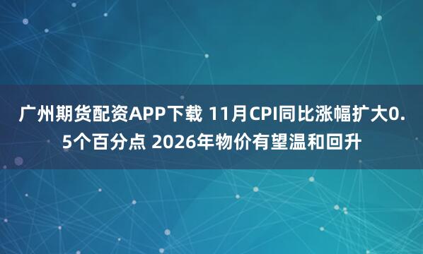 广州期货配资APP下载 11月CPI同比涨幅扩大0.5个百分点 2026年物价有望温和回升