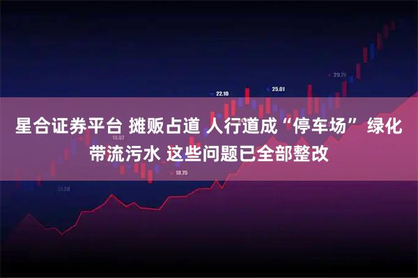 星合证券平台 摊贩占道 人行道成“停车场” 绿化带流污水 这些问题已全部整改