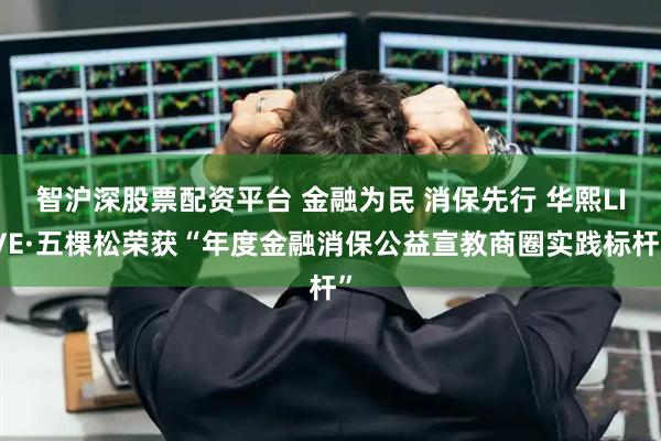 智沪深股票配资平台 金融为民 消保先行 华熙LIVE·五棵松荣获“年度金融消保公益宣教商圈实践标杆”